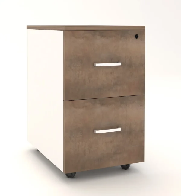 Ezy Series 2-Drawers-Mobile-Unit